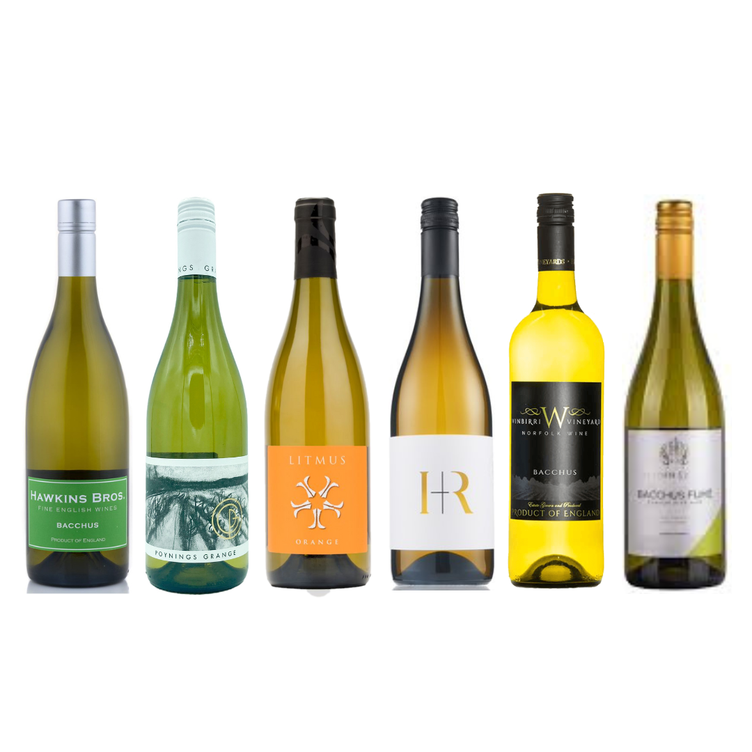 English Bacchus Taster Case - Hawkins Bros Fine English Wines