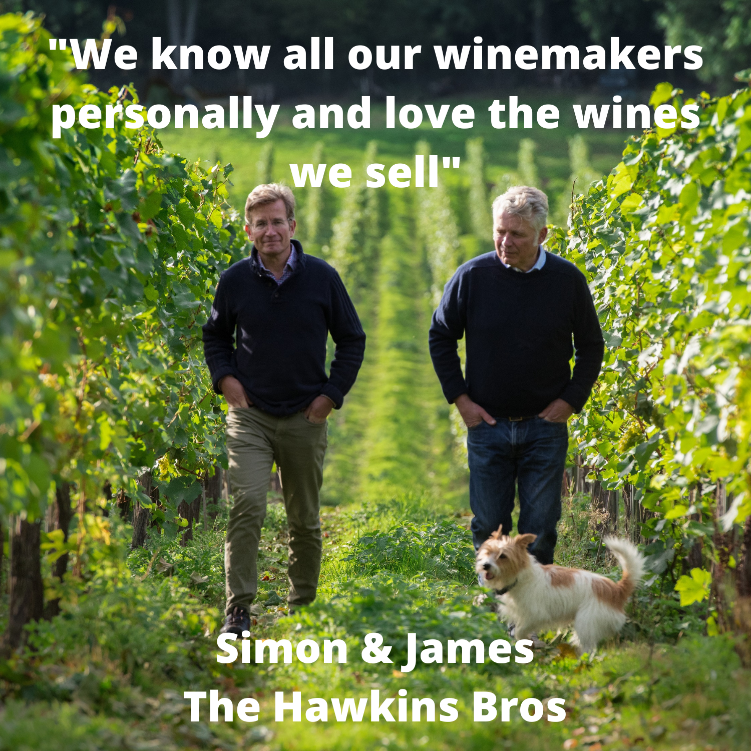 Cotswold Hills White Wine | White Wine with Bubbles | Hawkins Bros
